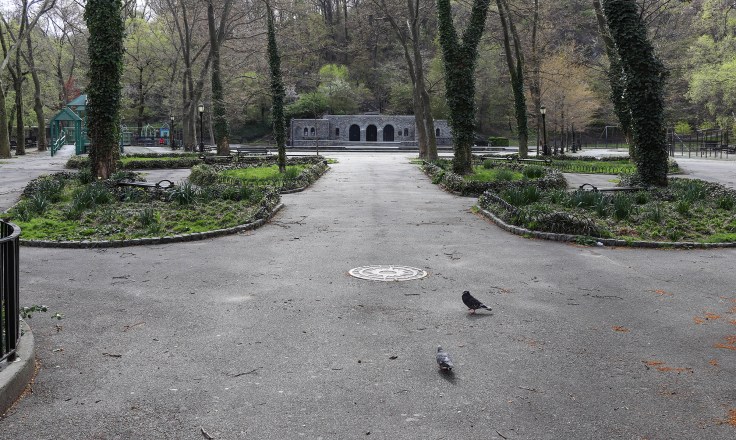 Closed and empty (except for pigeons) Anne Loftus Playground, April 2020