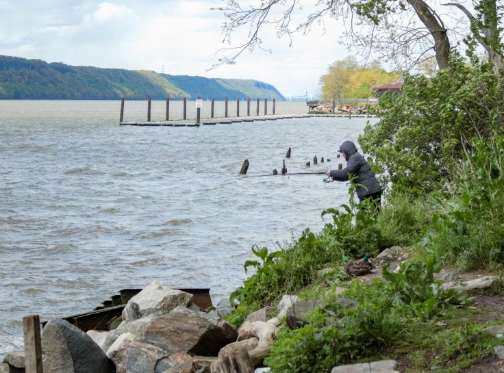Fishing on the Hudson River, May 2020
