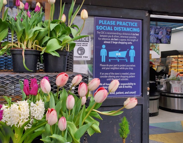 Signs outside Fine Fare, April 2020